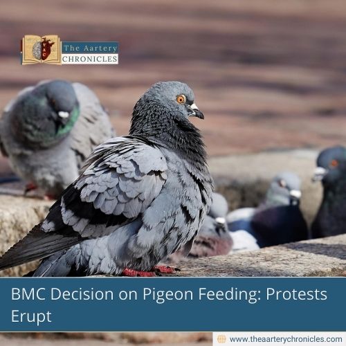 BMC-Decision-on-Pigeon-Feeding:-Protests-Erupt-The-Aartery-Chronicles-TAC