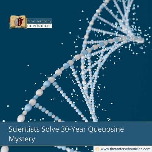 breakthrough-queuosine-gene-linked-to-cancer-defence-the-aartery-chronicles-tac