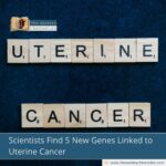 Scientists Find 5 New Genes Linked to Uterine Cancer