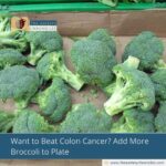 Want to Beat Colon Cancer? Add More Broccoli to Plate