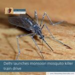 Delhi launches monsoon mosquito killer train drive