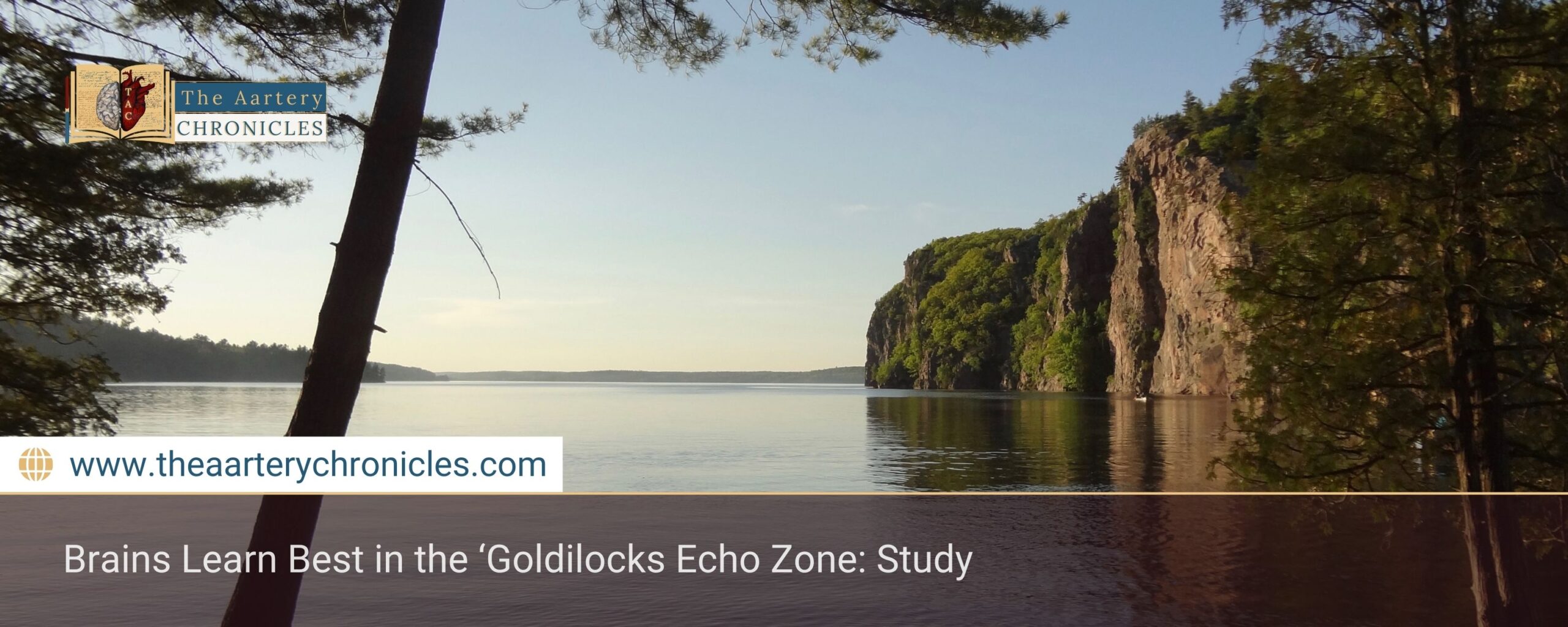 Brains Learn Best in the ‘Goldilocks Echo Zone: Study