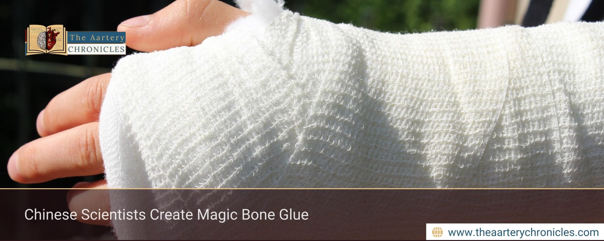 Chinese Scientists Create Magic Bone Glue