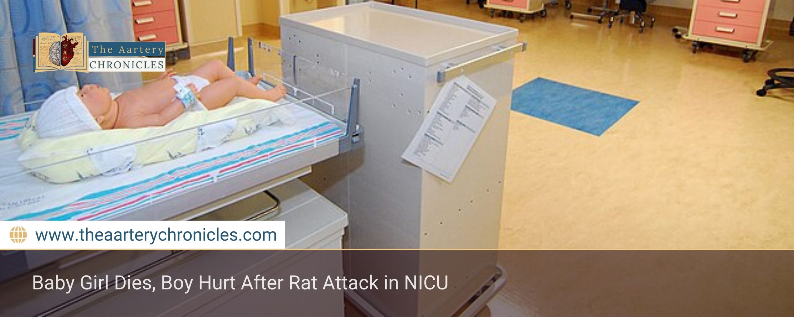 Baby Girl Dies, Boy Hurt After Rat Attack in NICU