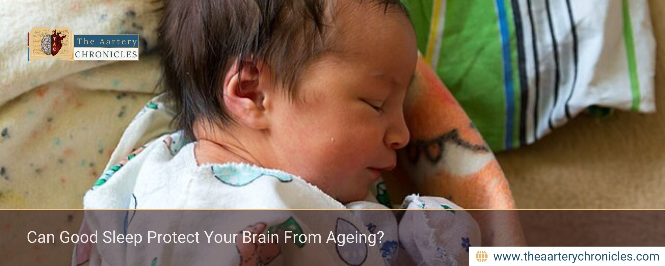 Can Good Sleep Protect Your Brain From Ageing?