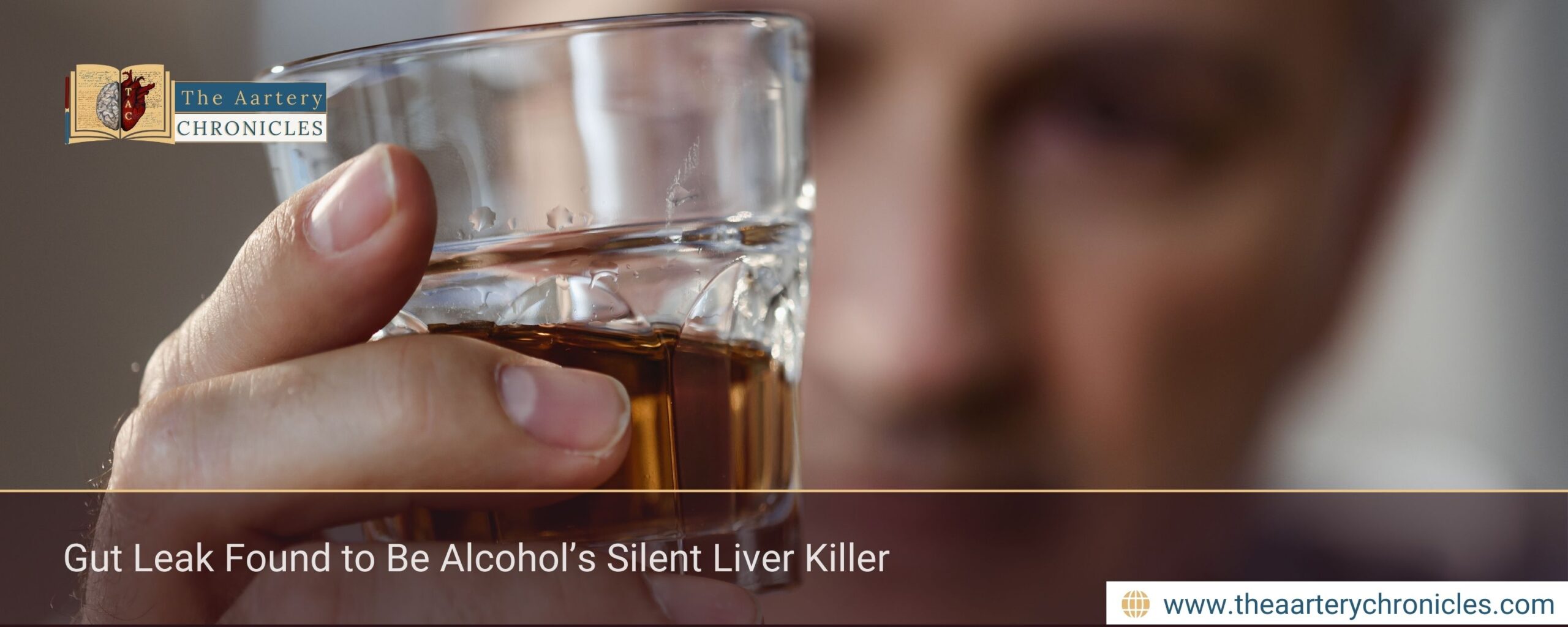 Gut Leak Found to Be Alcohol’s Silent Liver Killer