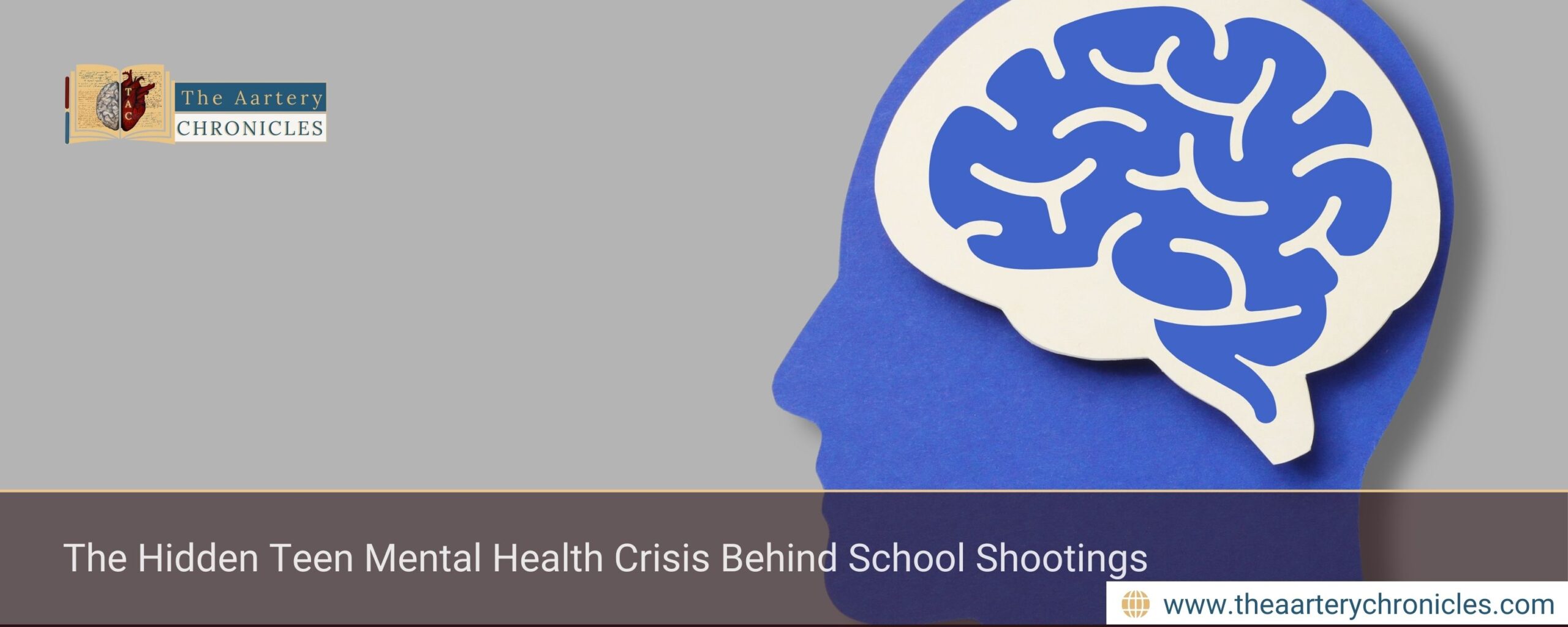 The-Hidden-Teen-Mental-Health-Crisis-Behind-School-Shootings-The-Aartery-Chronicles-TAC