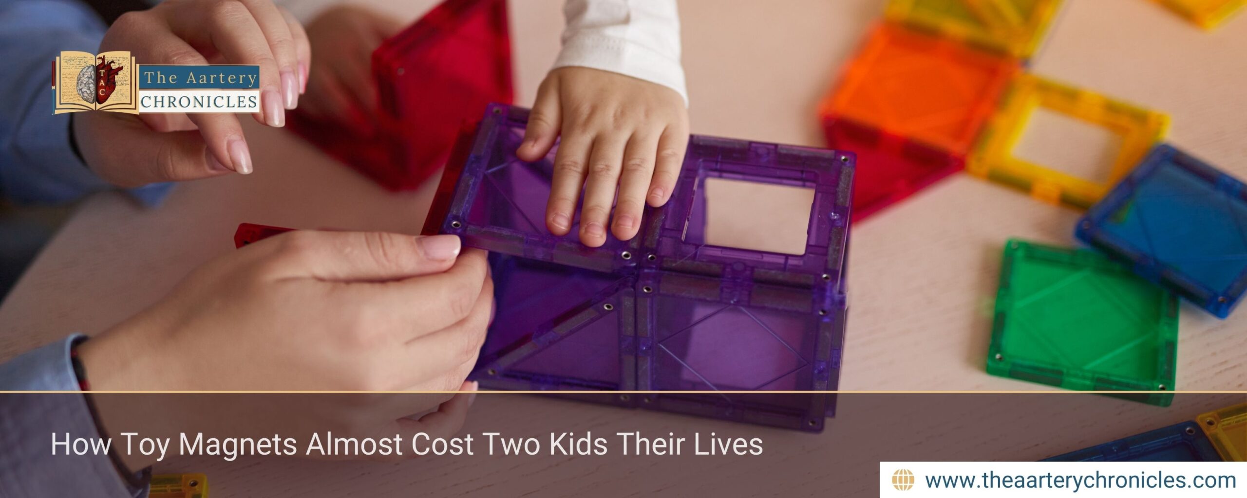 How Toy Magnets Almost Cost Two Kids Their Lives