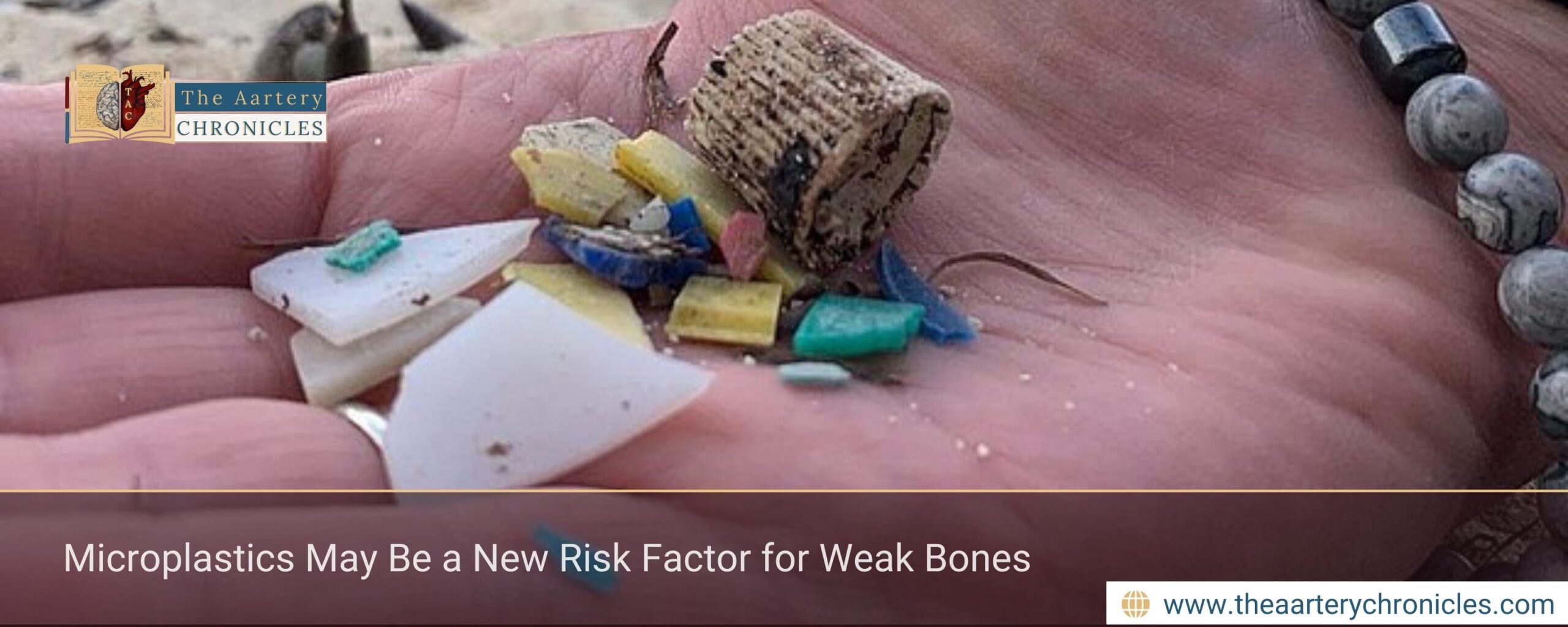 Microplastics May Be a New Risk Factor for Weak Bones