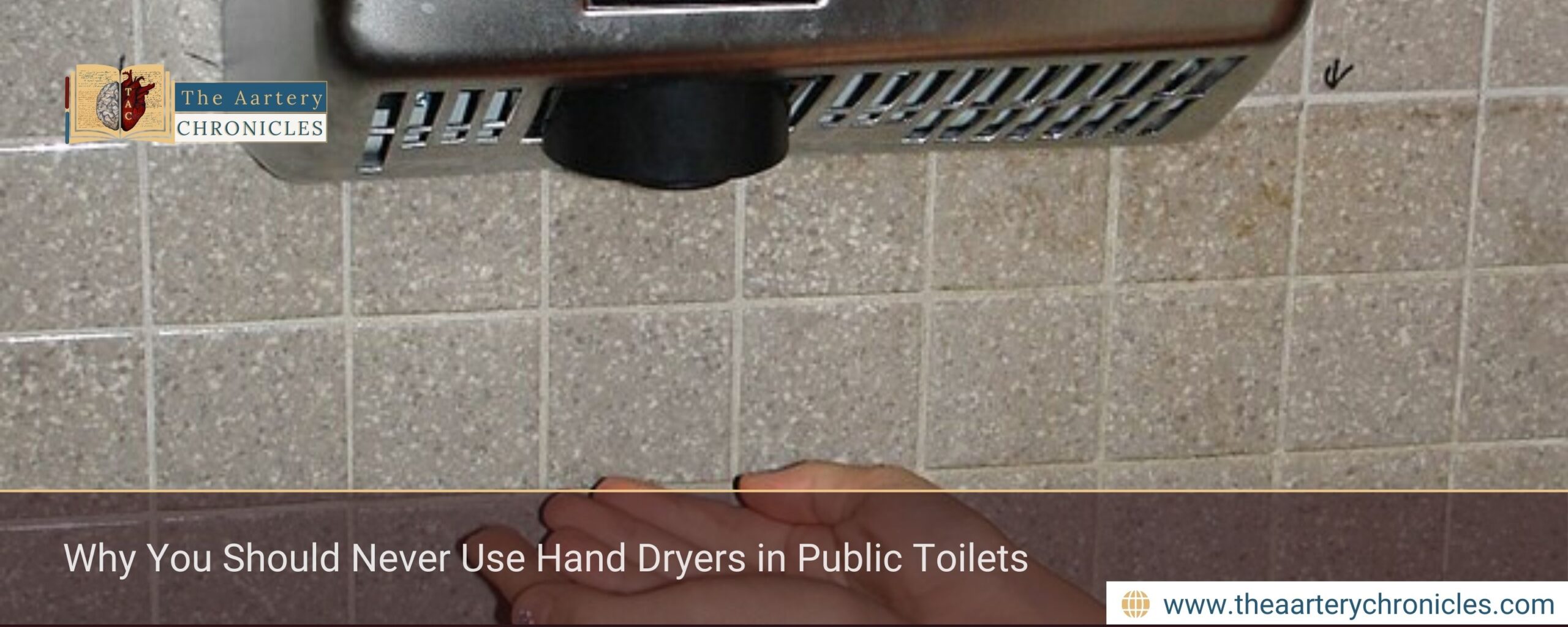 Why You Should Never Use Hand Dryers in Public Toilets