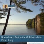 Brains Learn Best in the ‘Goldilocks Echo Zone: Study