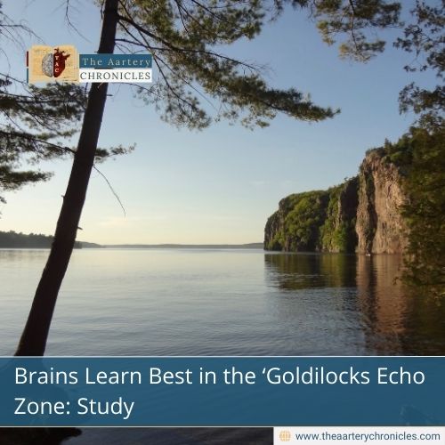 Brains Learn Best in the ‘Goldilocks Echo Zone: Study