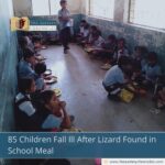 85 Children Fall Ill After Lizard Found in School Meal