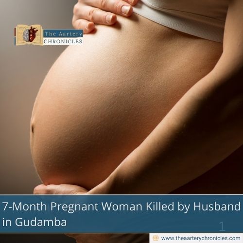 7-Month Pregnant Woman Killed by Husband in Gudamba