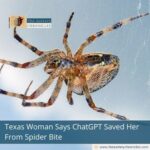 Texas Woman Says ChatGPT Saved Her From Spider Bite
