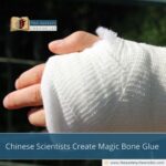 Chinese Scientists Create Magic Bone Glue