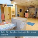 Baby Girl Dies, Boy Hurt After Rat Attack in NICU