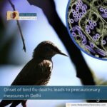Onset-of-bird-flu-deaths-leads-to-precautionary-measures-in-Delhi-The-Aartery-Chronicles-TAC
