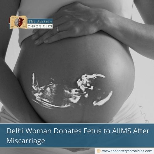 Delhi Woman Donates Fetus to AIIMS After Miscarriage