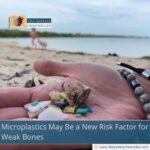 Microplastics May Be a New Risk Factor for Weak Bones