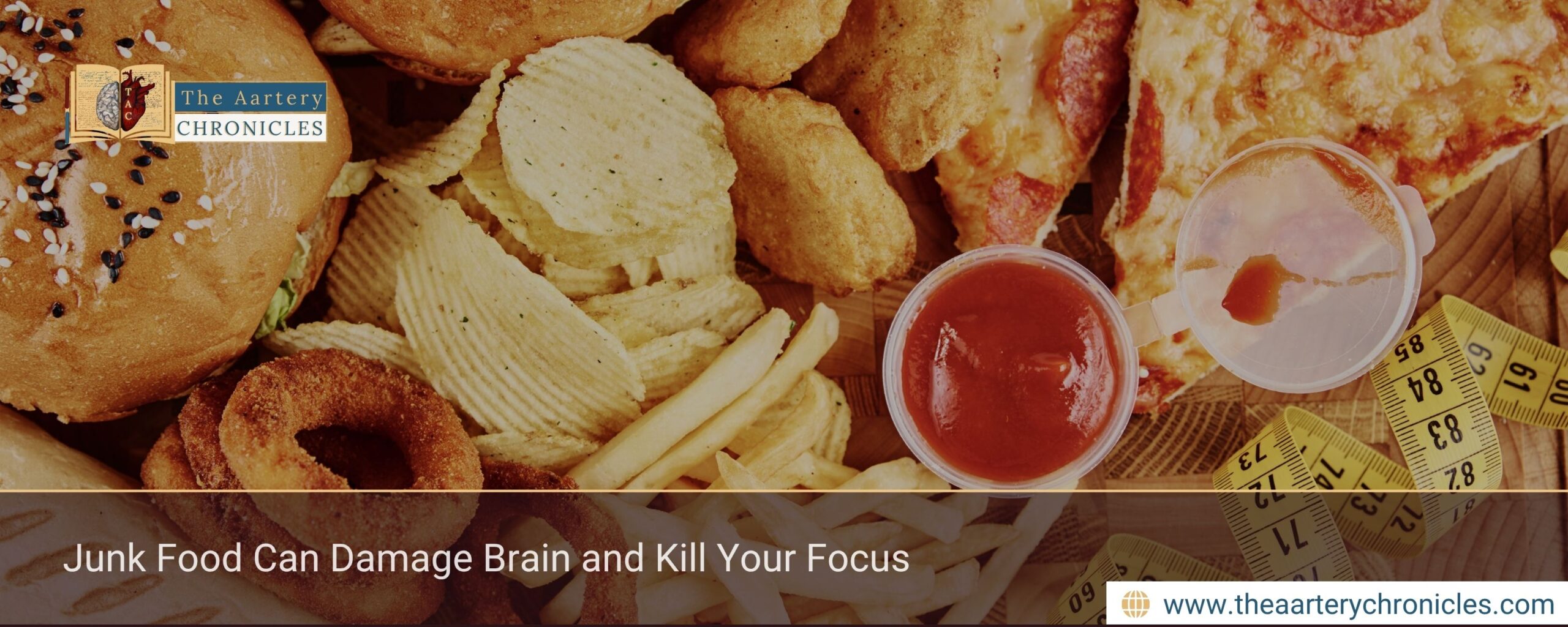 Junk Food Can Damage Brain and Kill Your Focus