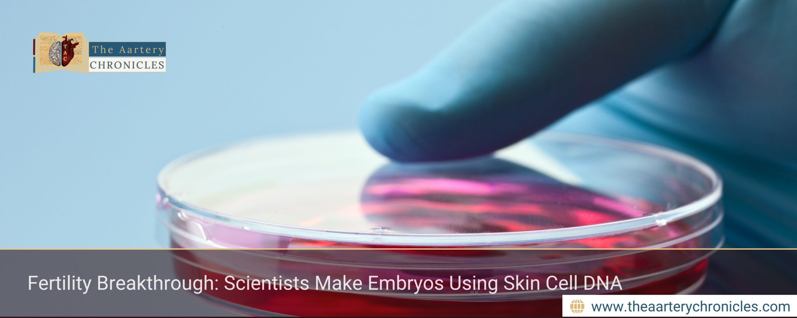 Fertility-Breakthrough:-Scientists-Make-Embryos-Using-Skin-Cell-DNA-The-Aartery-Chronicles-TAC