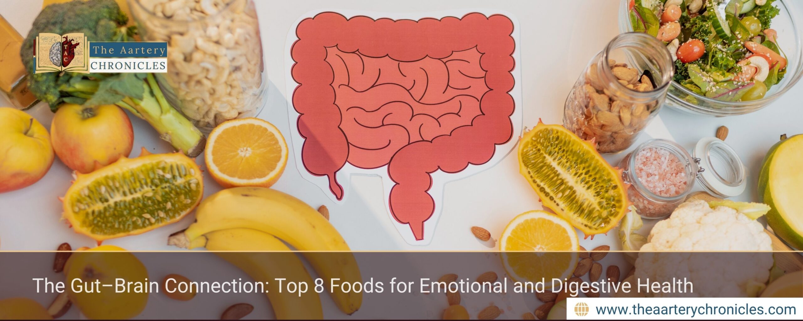 The-Gut–Brain-Connection:-Top-8-Foods-for-Emotional-and-Digestive-Health-The-Aartery-Chronicles-TAC