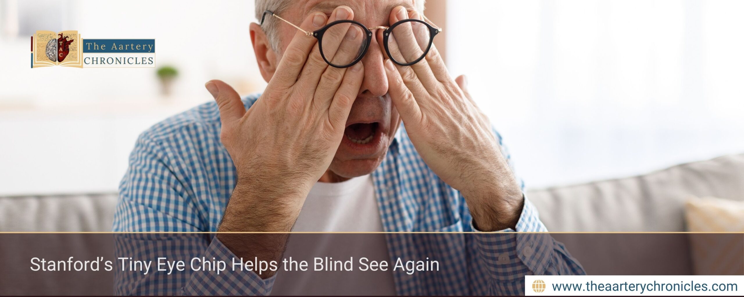 stanfords-tiny-eye-chip-helps-the-blind-see-again-the-aartery-chronicles-tac