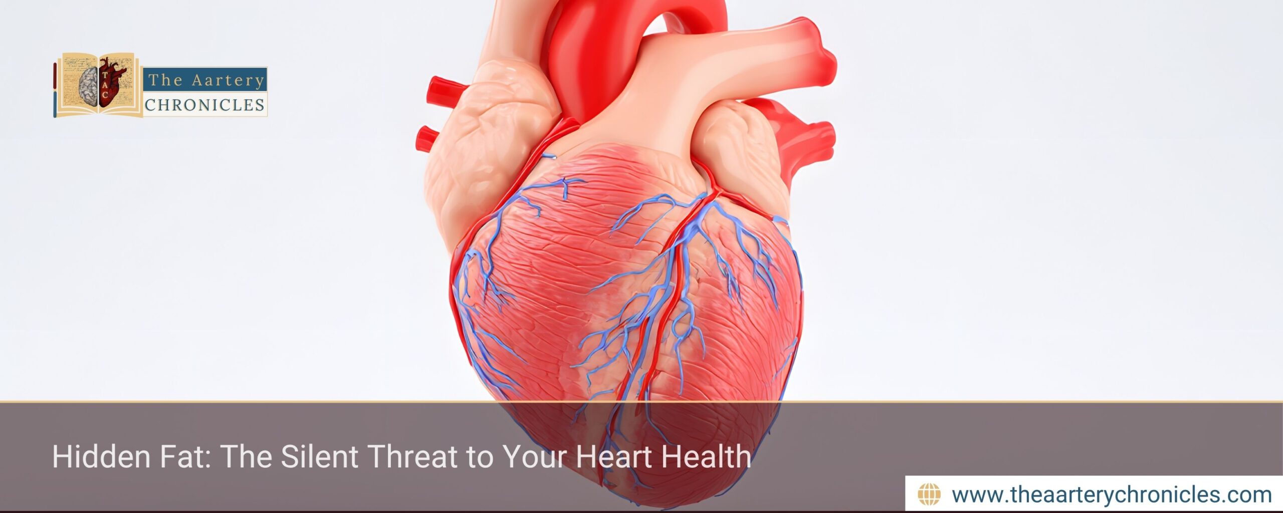 hidden-fat-the-silent-threat-to-your-heart-health-the-aartery-chronicles-tac