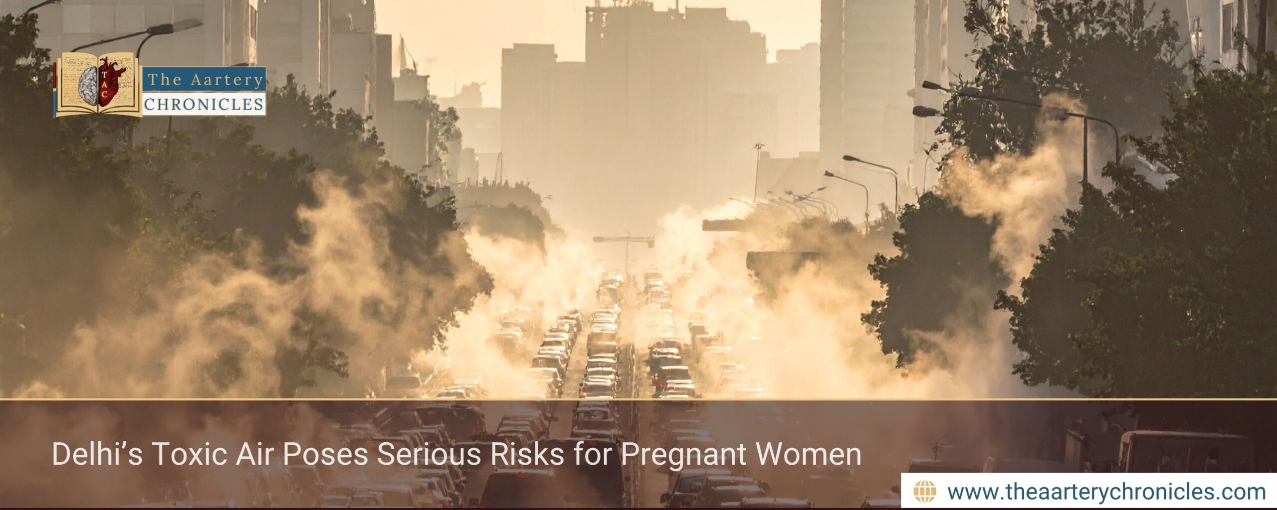 Delhi’s-Toxic-Air-Poses-Serious-Risks-for-Pregnant-Women-The-Aartery-Chronicles-TAC