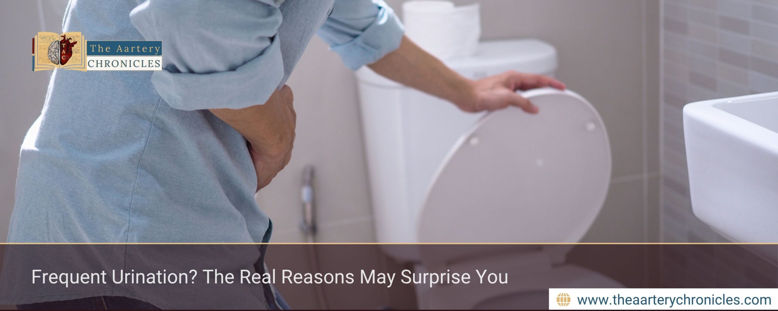 Frequent Urination? The Real Reasons May Surprise You