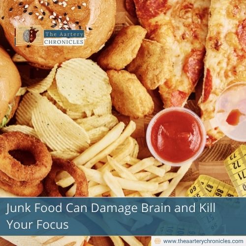 Junk Food Can Damage Brain and Kill Your Focus