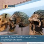 Ancient-Chinese-Skull-Discovery-Reveals-Surprising-Human -Link-The-Aartery-Chronicles-TAC