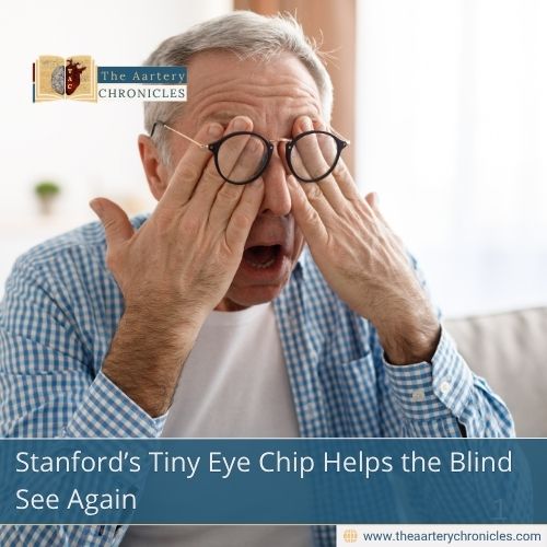 Stanford’s Tiny Eye Chip Helps the Blind See Again