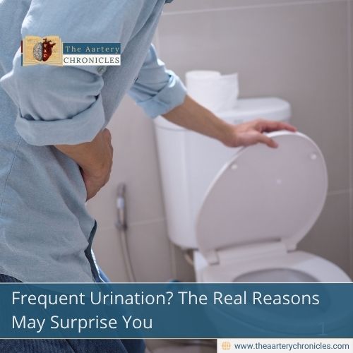 Frequent Urination? The Real Reasons May Surprise You