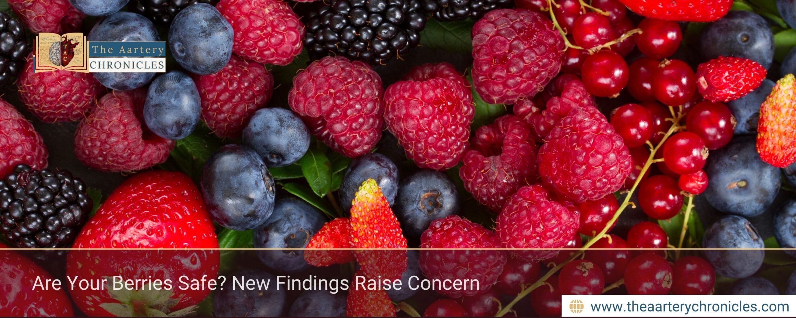 Are Your Berries Safe? New Findings Raise Concern
