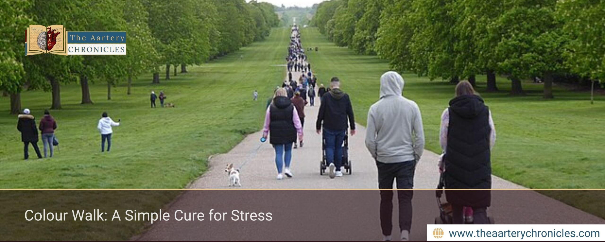 Colour Walk: A Simple Cure for Stress