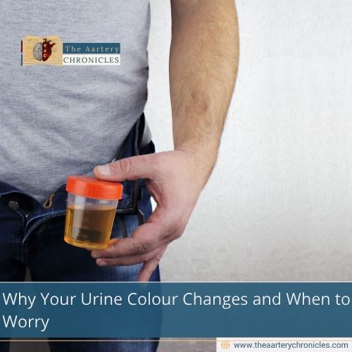 Why Your Urine Colour Changes and When to Worry
