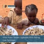 Viral Video Shows Ugandan Kids Eating Live Termites