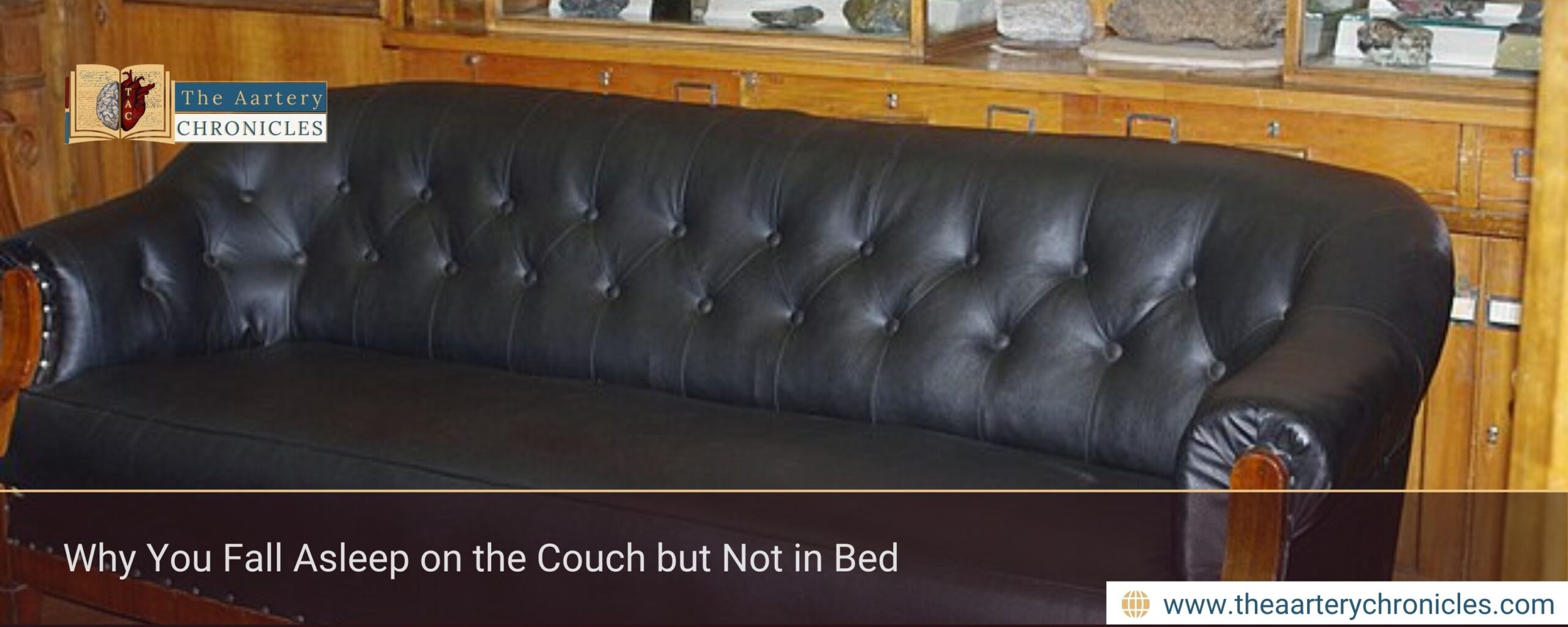 Why You Fall Asleep on the Couch but Not in Bed