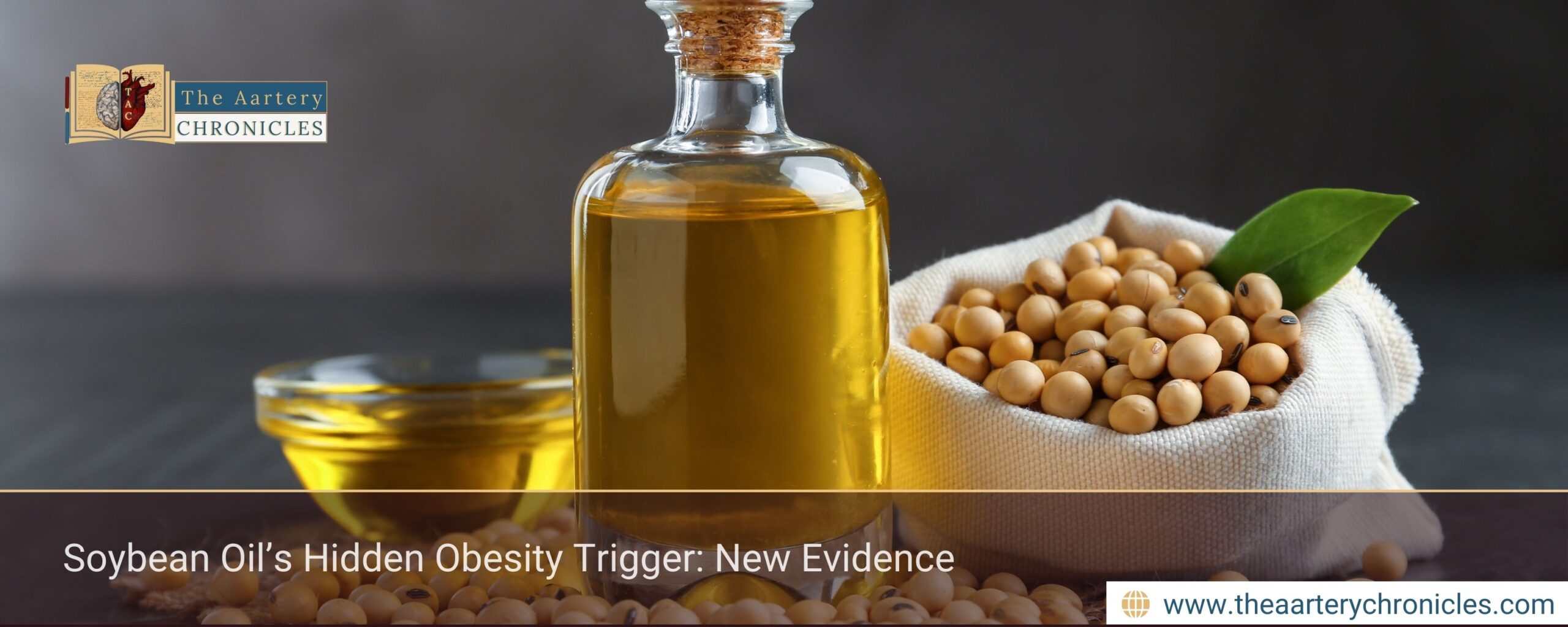 soybean-oils-hidden-obesity-trigger-new-evidence-the-aartey-chronicles-tac