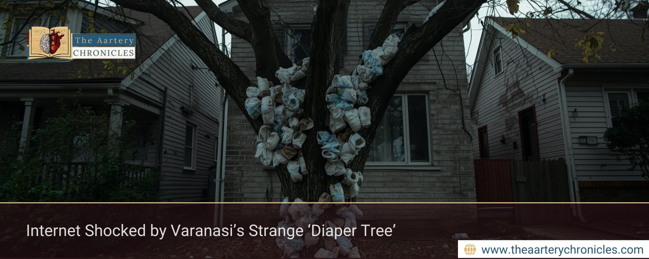 Internet Shocked by Varanasi’s Strange ‘Diaper Tree’