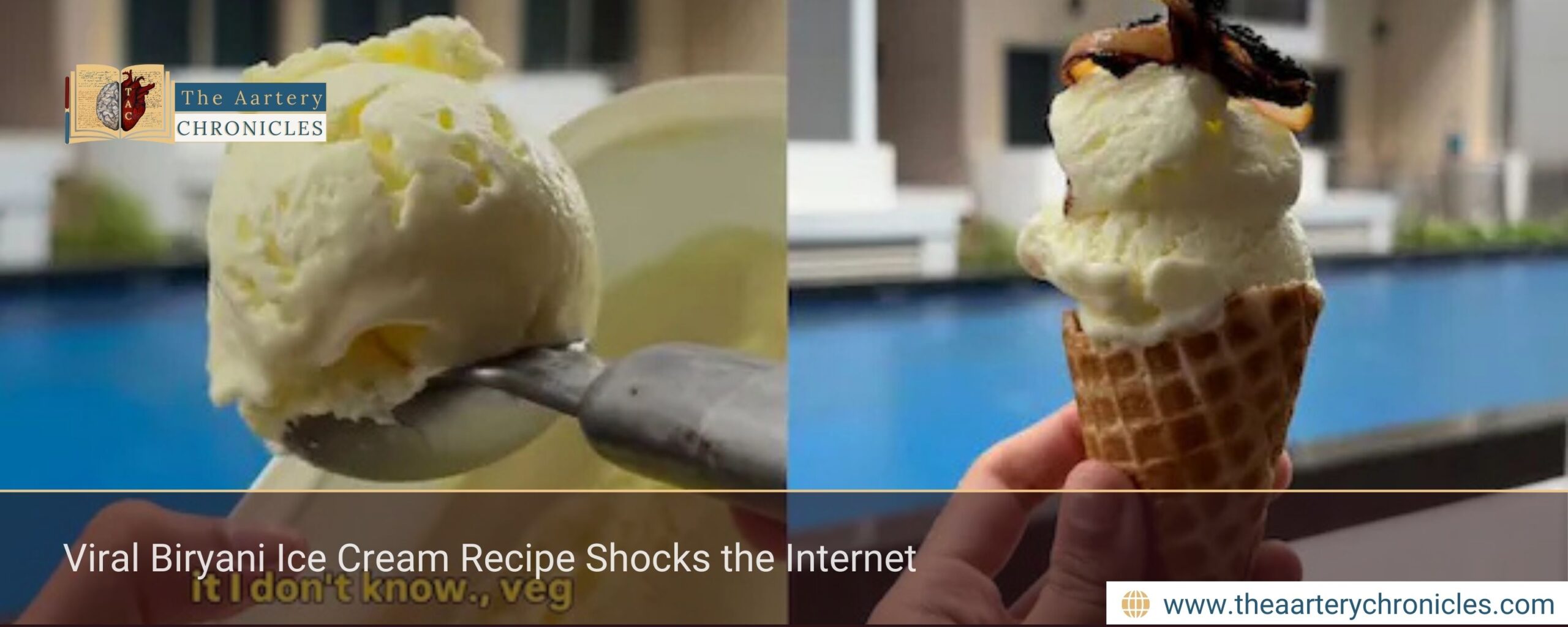 Viral Biryani Ice Cream Recipe Shocks the Internet