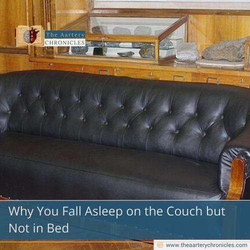 Why You Fall Asleep on the Couch but Not in Bed