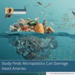 Study Finds Microplastics Can Damage Heart Arteries