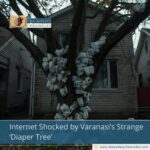 Internet Shocked by Varanasi’s Strange ‘Diaper Tree’