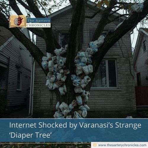 Internet Shocked by Varanasi’s Strange ‘Diaper Tree’
