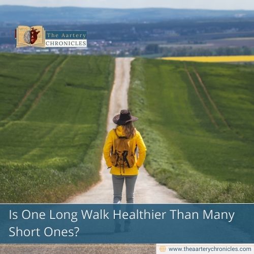 longer-walking-sessions-vs-short-walks-new-evidence-the-aartery-chronicles-tac
