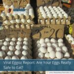 Viral Eggoz Report: Are Your Eggs Really Safe to Eat?