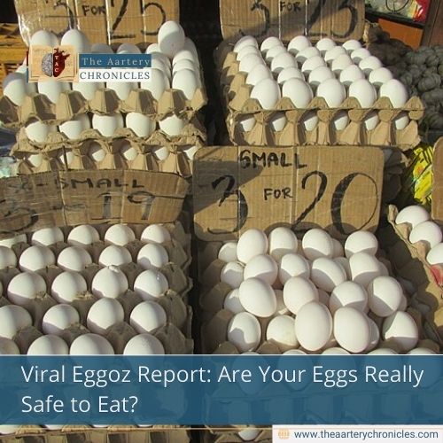 Viral Eggoz Report: Are Your Eggs Really Safe to Eat?